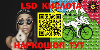 шишки Кандалакша