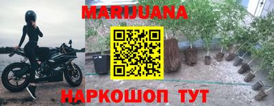 шишки Кандалакша