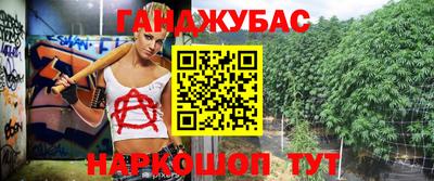 шишки Кандалакша