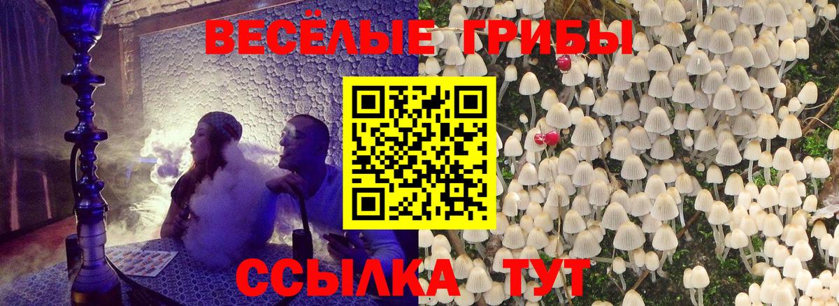 купить наркоту  Псилоцибиновые грибы Cubensis  Вход с VPN  Псилоцибиновые грибы мицелий  Дятьково 